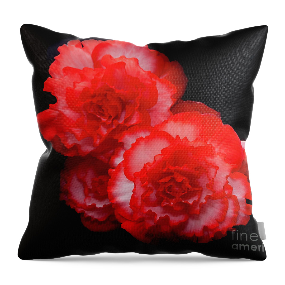 Flowers Throw Pillow featuring the photograph Picotee Begonia by Ann Jacobson