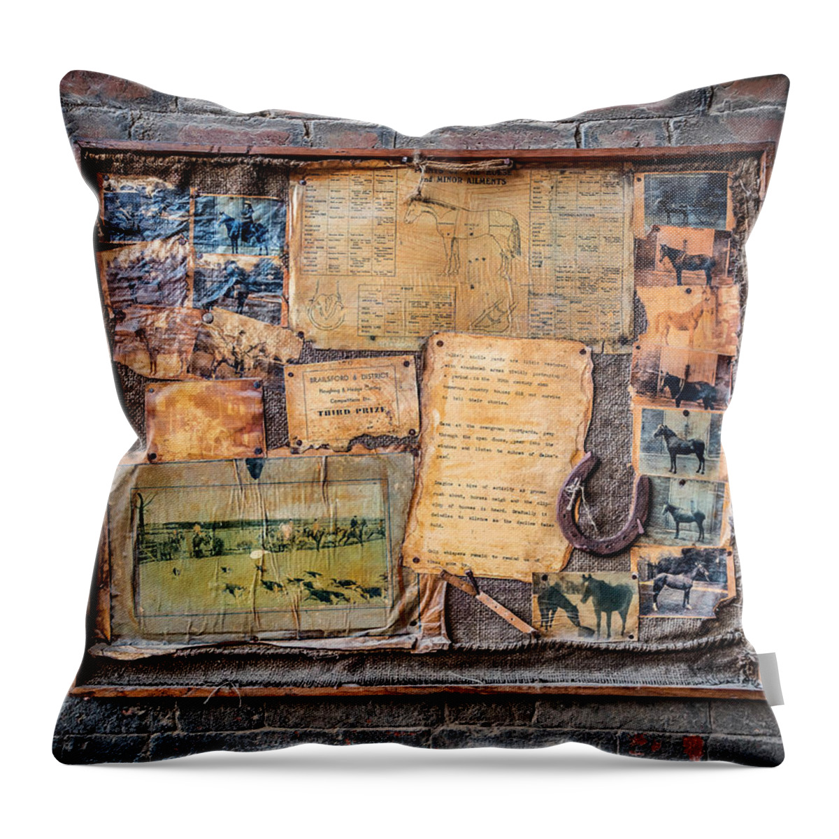 Notice Board Throw Pillow featuring the photograph Picture the Past by Nick Bywater