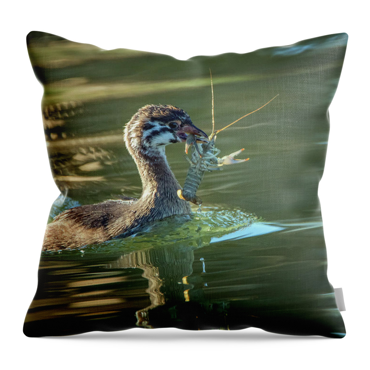 Pied-billed Throw Pillow featuring the photograph Pied-billed Grebe with Crawdad 2439 by Tam Ryan