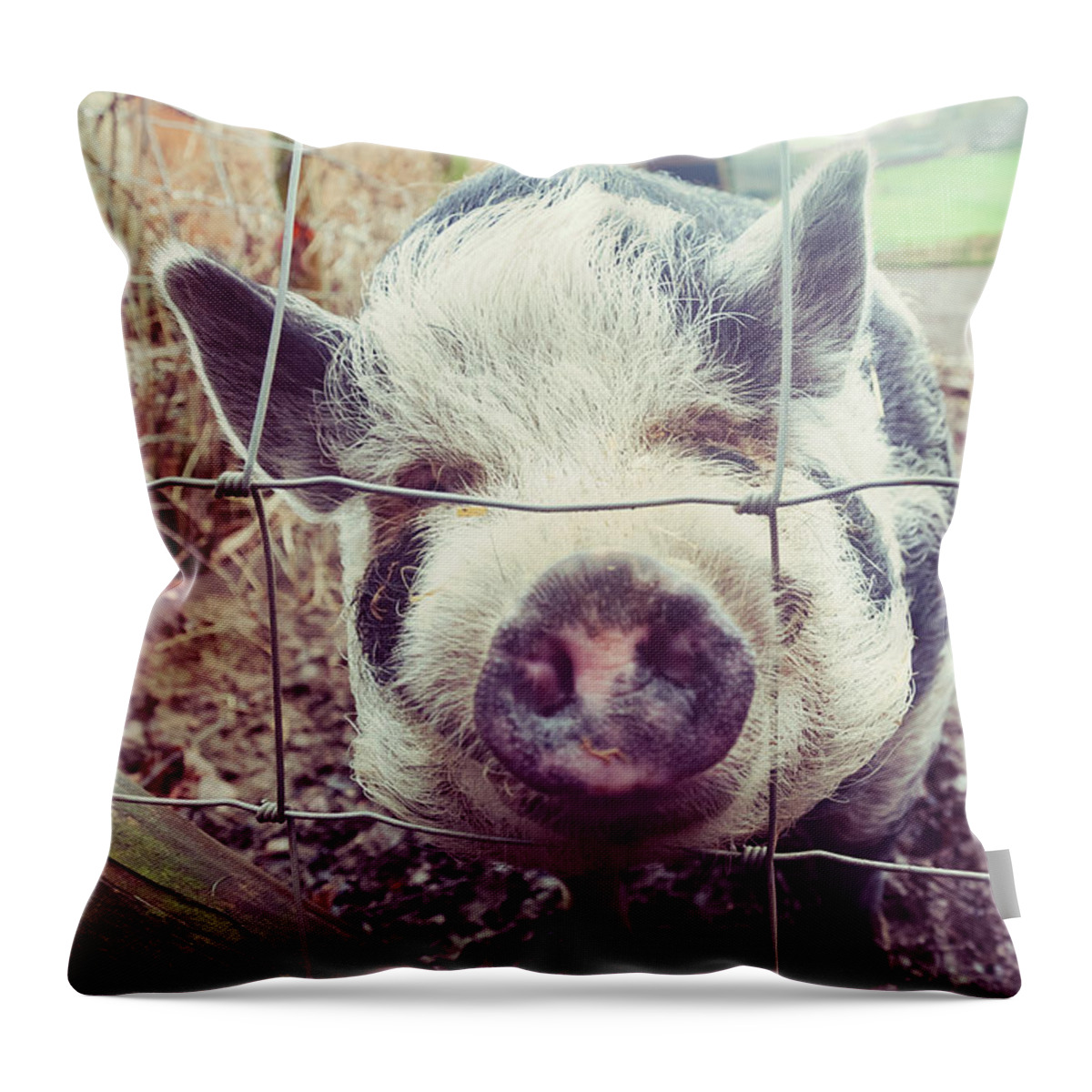 D90 Throw Pillow featuring the photograph Pig by Mariusz Talarek