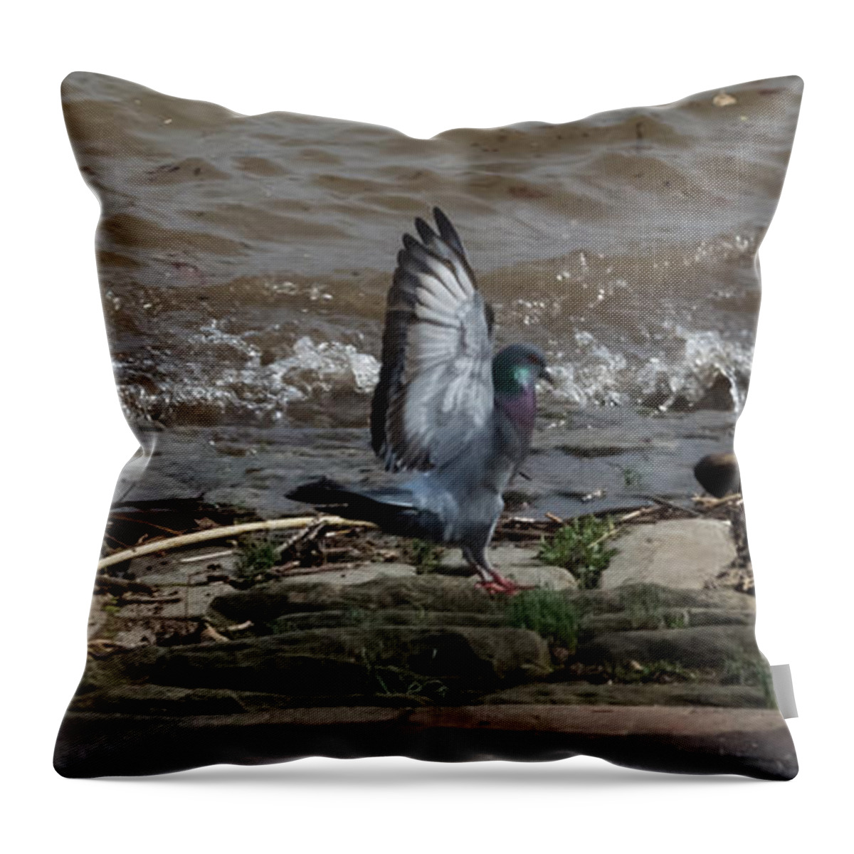 Jan Holden Throw Pillow featuring the photograph Pigeon With Its Wings Up by Holden The Moment