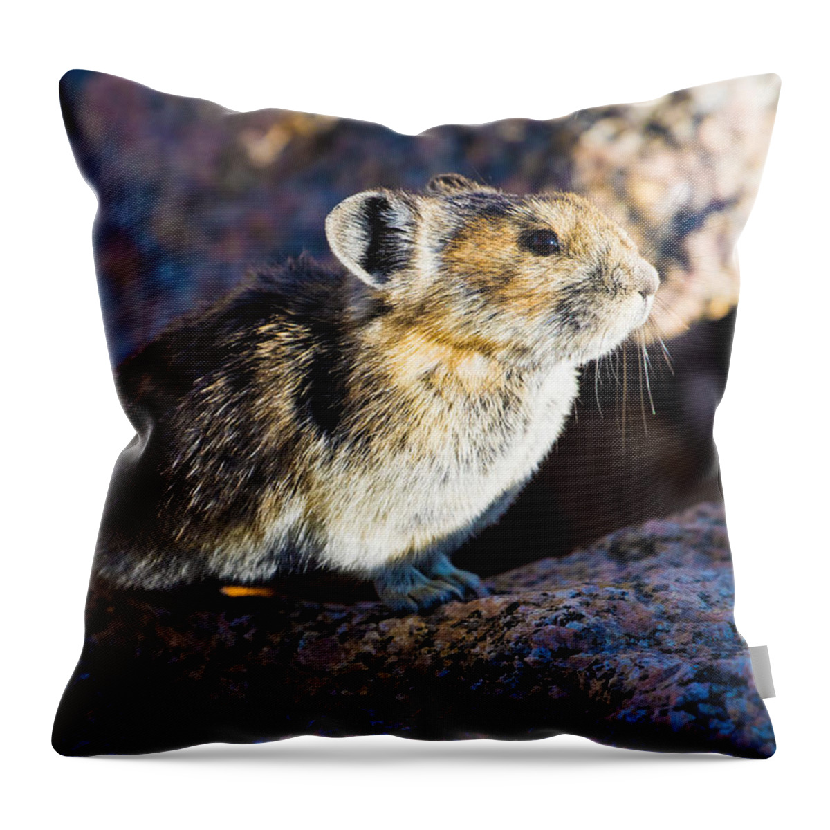 Pika Throw Pillow featuring the photograph Pika Portrait by Mindy Musick King