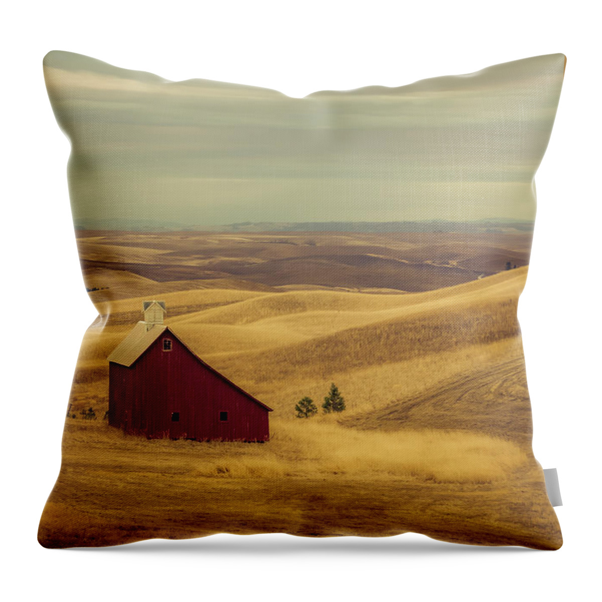 Farm Throw Pillow featuring the photograph Pillbox Barn by Don Schwartz