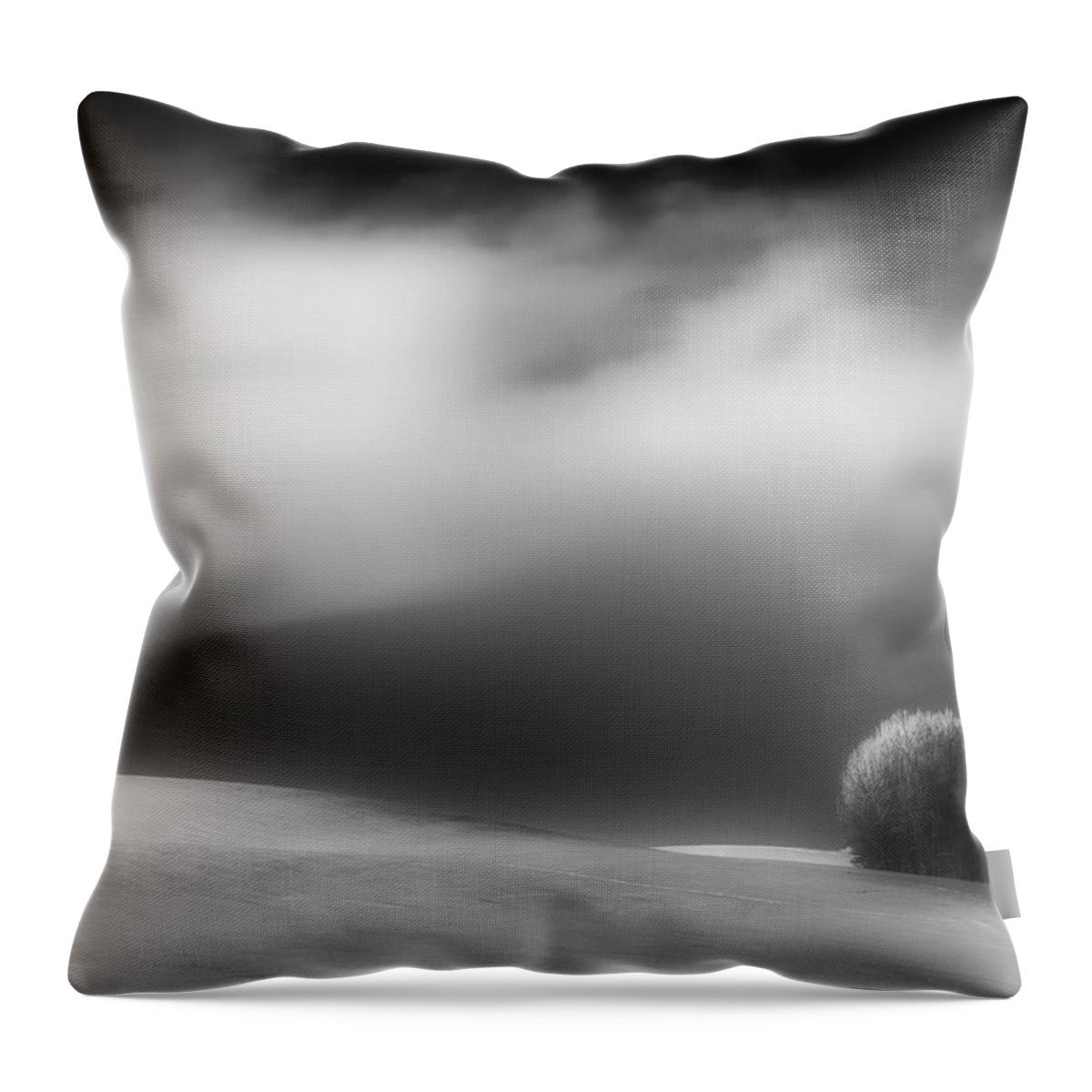 Monochrome Throw Pillow featuring the photograph Pillow Soft by Dan Jurak