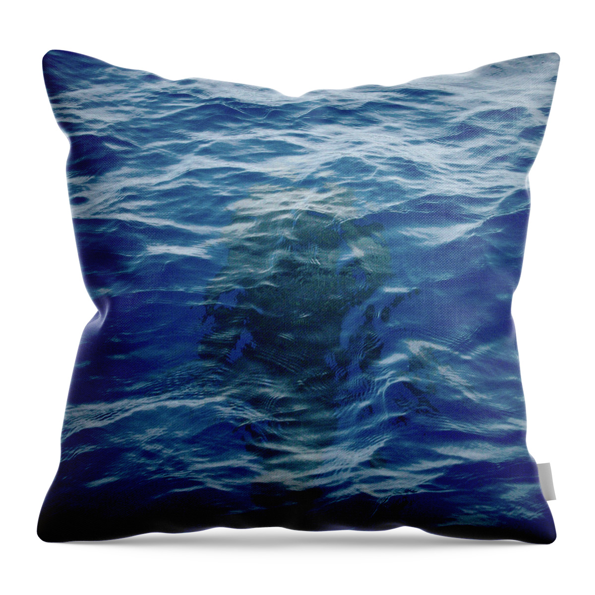 Valasretki Throw Pillow featuring the photograph Pilot Whale 9 The Mermaid by Jouko Lehto
