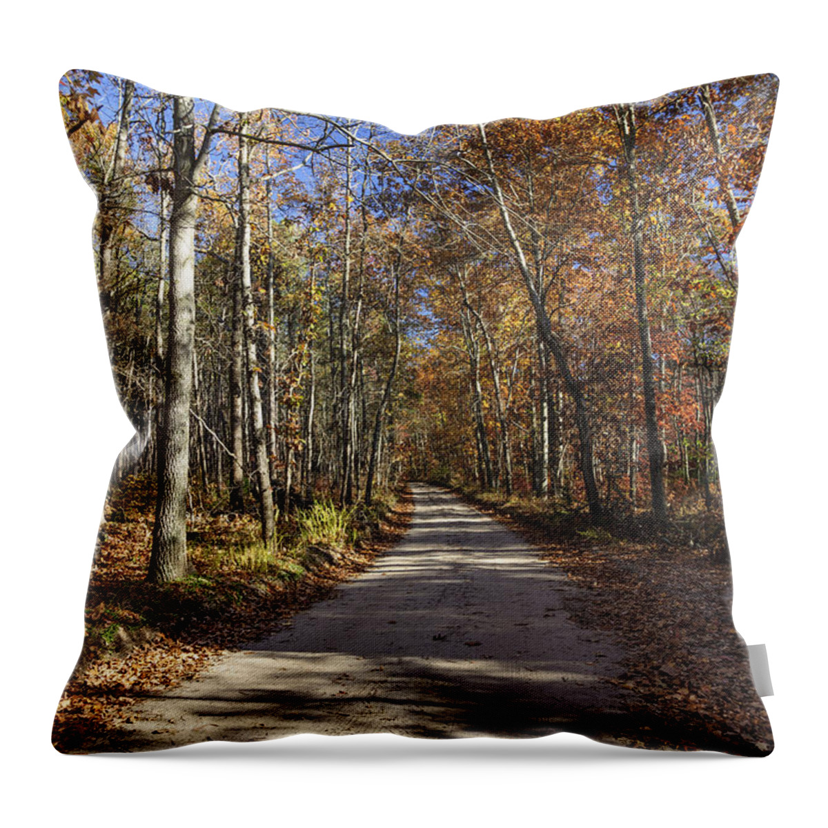 Sandy Throw Pillow featuring the photograph Pine Barrens Road II by Debra Fedchin