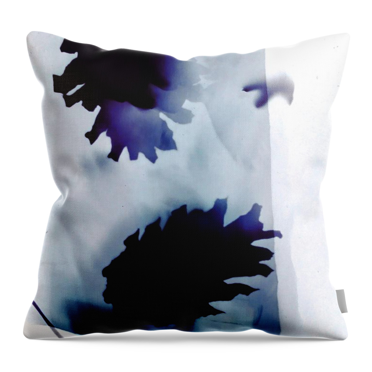 Photogram Throw Pillow featuring the photograph Pine cones blue and white by Itsonlythemoon