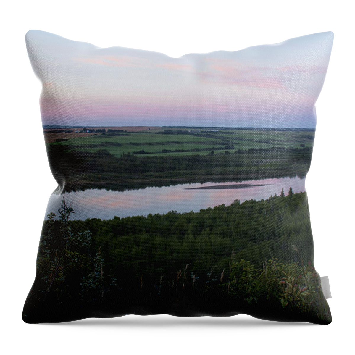 Landscape Throw Pillow featuring the photograph Pine Island by Ellery Russell