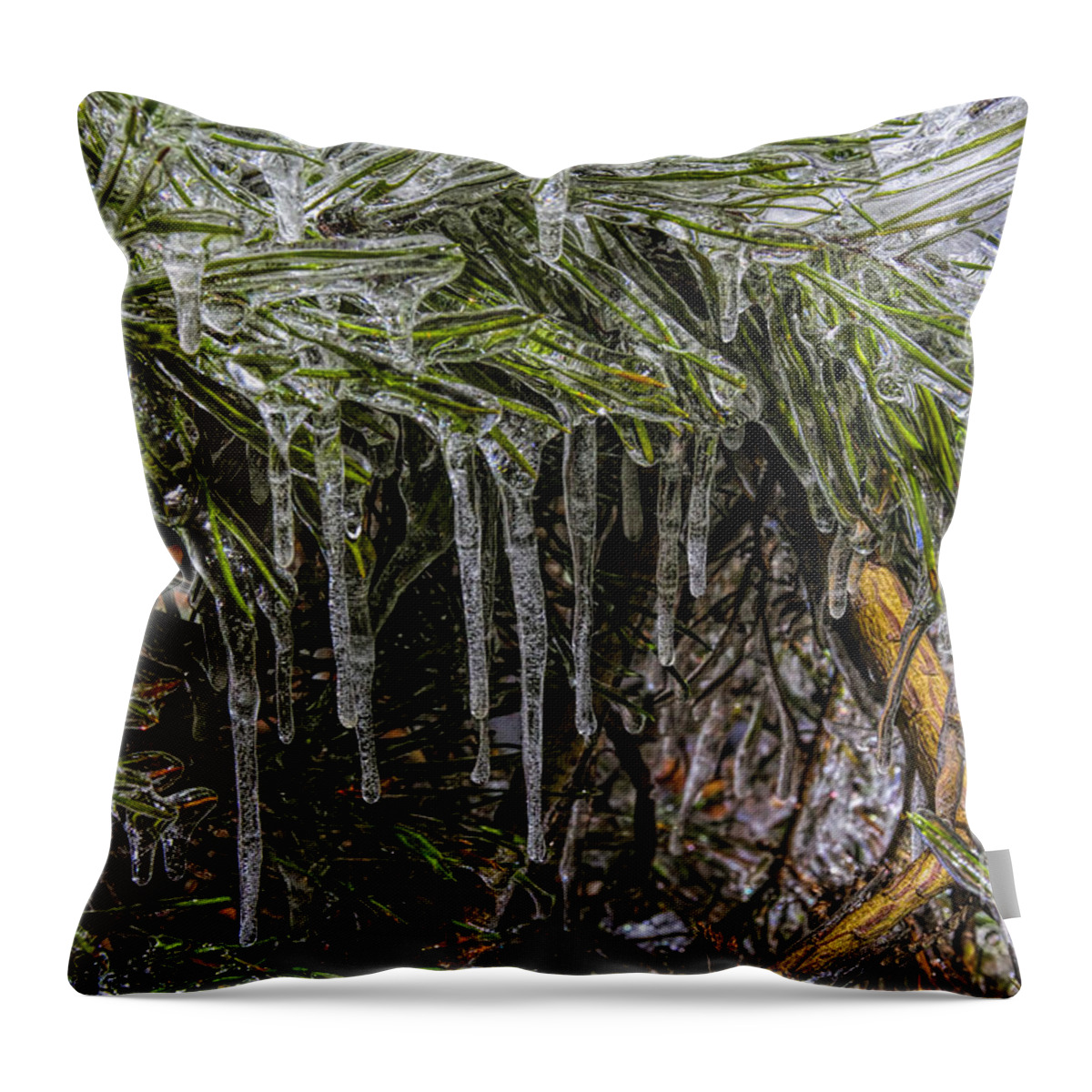 Winter Amicola Falls Throw Pillow featuring the photograph Pine Needlecicles by Barbara Bowen