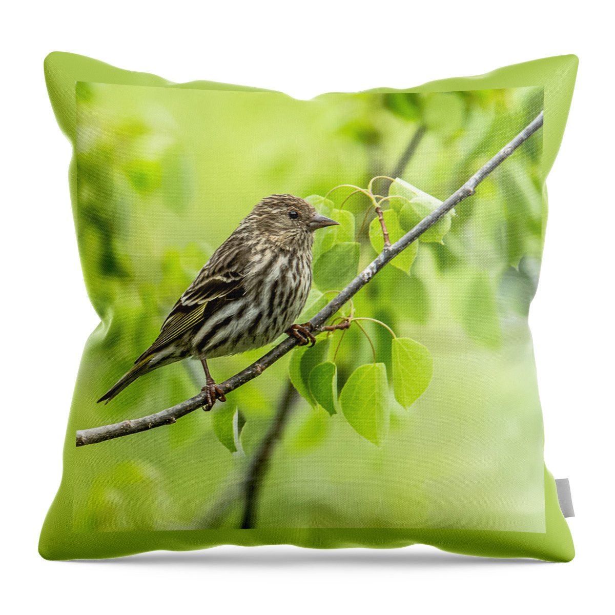 Finch Throw Pillow featuring the photograph Pine Siskin On A Branch by Yeates Photography