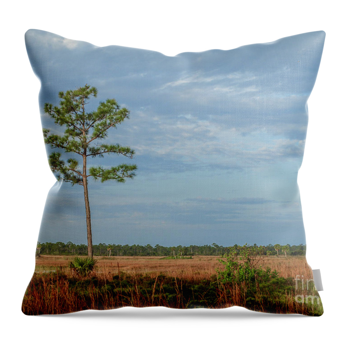 Pine Throw Pillow featuring the photograph Pine Tree and Marsh by Tom Claud