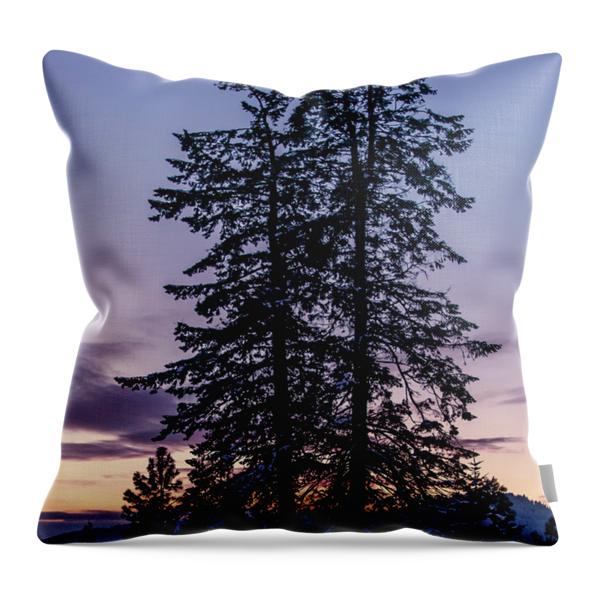 Landscape Throw Pillow featuring the photograph Pine Tree Silhouette  by Lester Plank