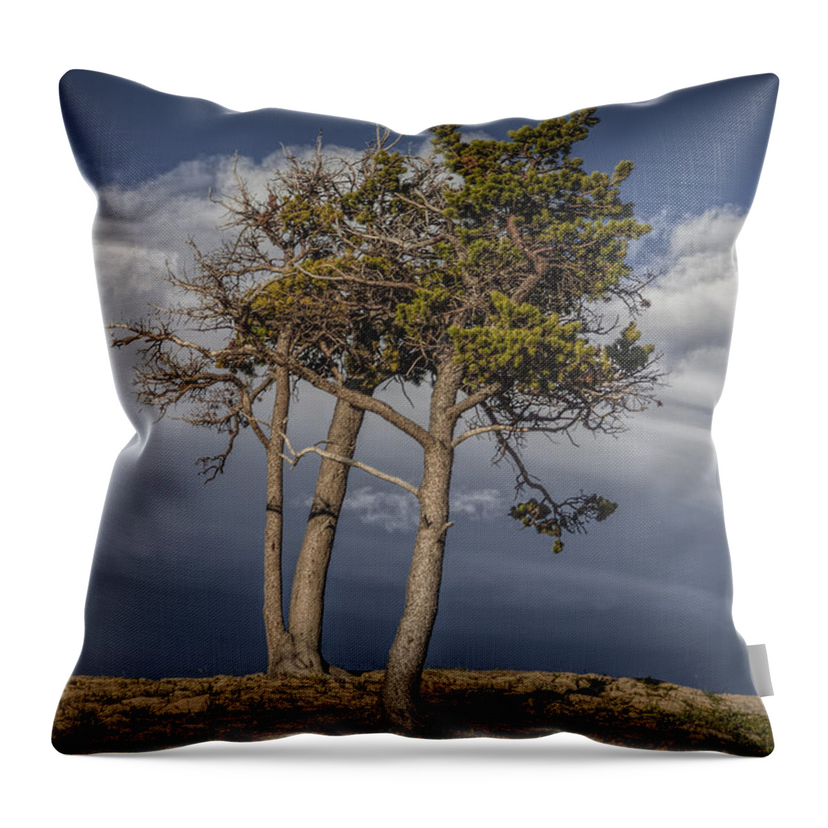 Art Throw Pillow featuring the photograph Pine Trees on Glacier Park Rocky Ridge by Randall Nyhof