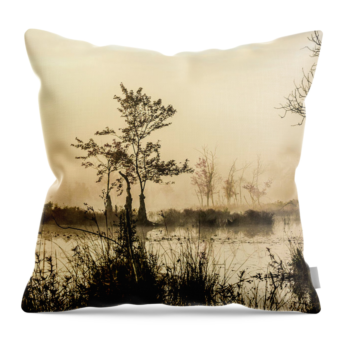 Landscape Throw Pillow featuring the photograph Pinelands - Mullica River by Louis Dallara