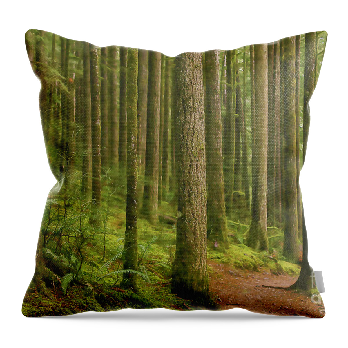 Rain Forest Throw Pillow featuring the digital art Pines Ferns And Moss by Phil Perkins