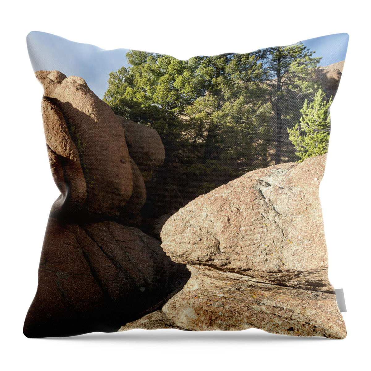 Pine Throw Pillow featuring the photograph Pines in Granite by Tim Newton