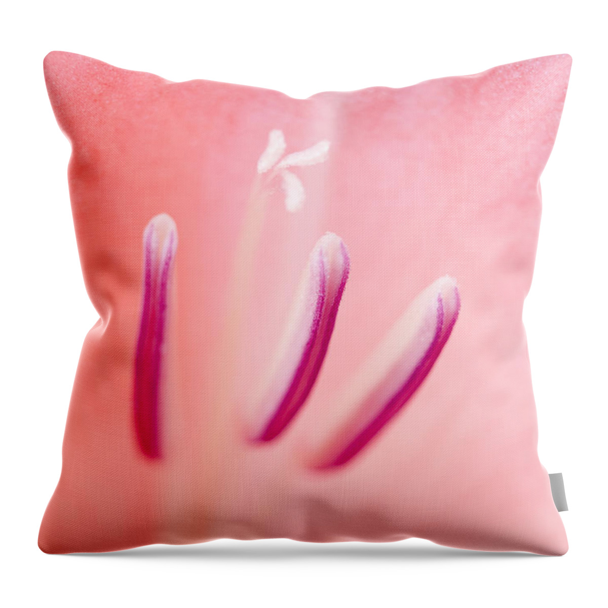 Astoria Throw Pillow featuring the photograph Pink and Close by Robert Potts