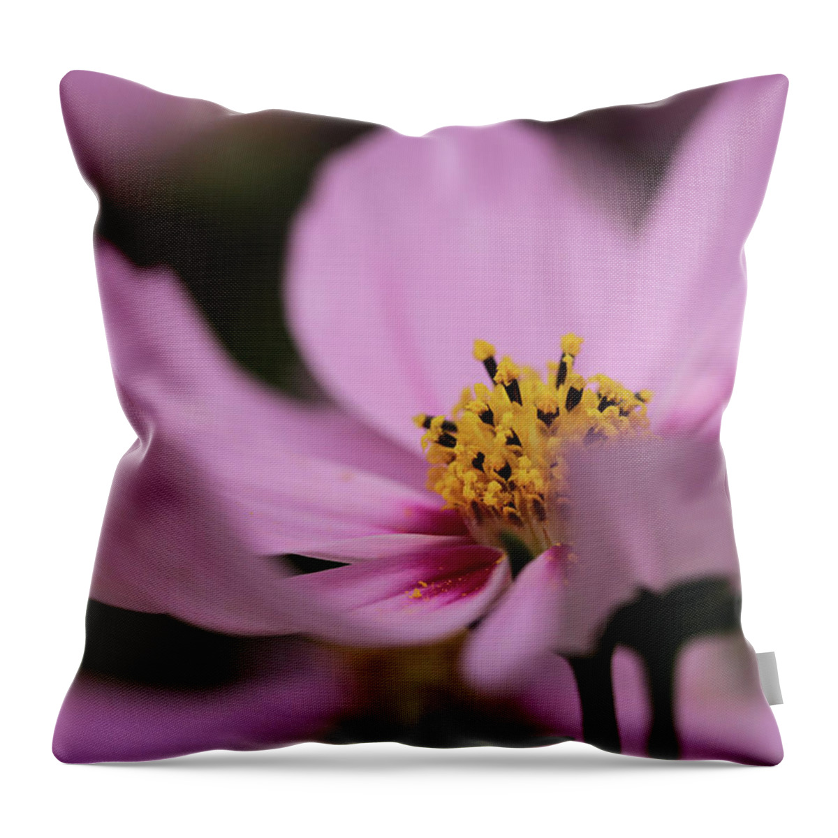 Connie Handscomb Throw Pillow featuring the photograph Pink Breeze by Connie Handscomb