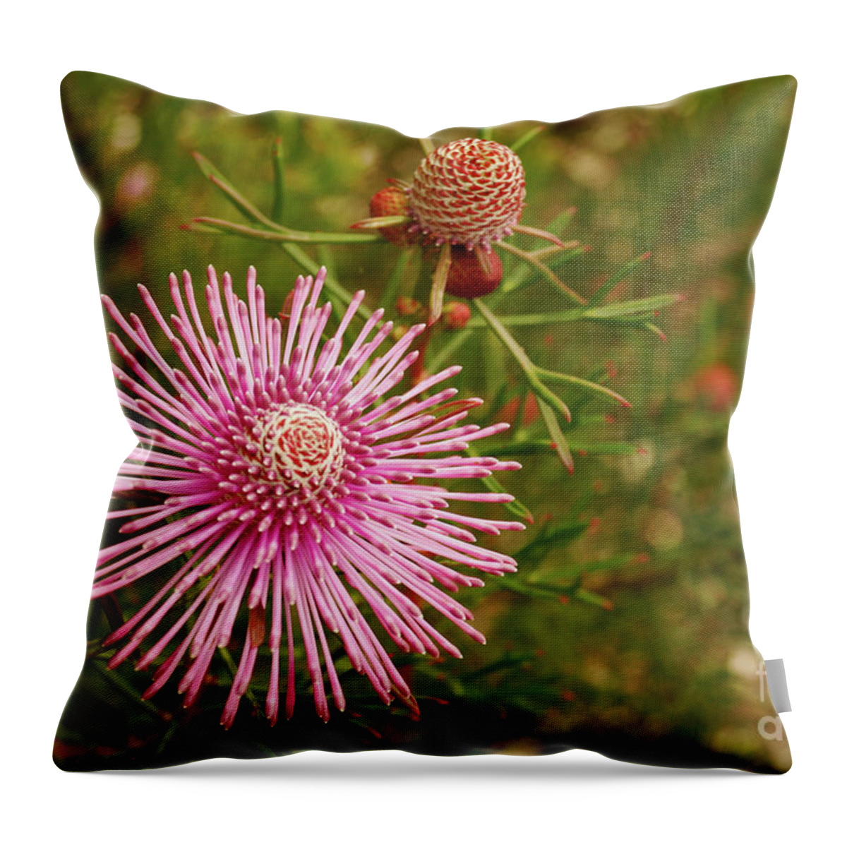 Flower Throw Pillow featuring the photograph Pink Brilliance by Cassandra Buckley
