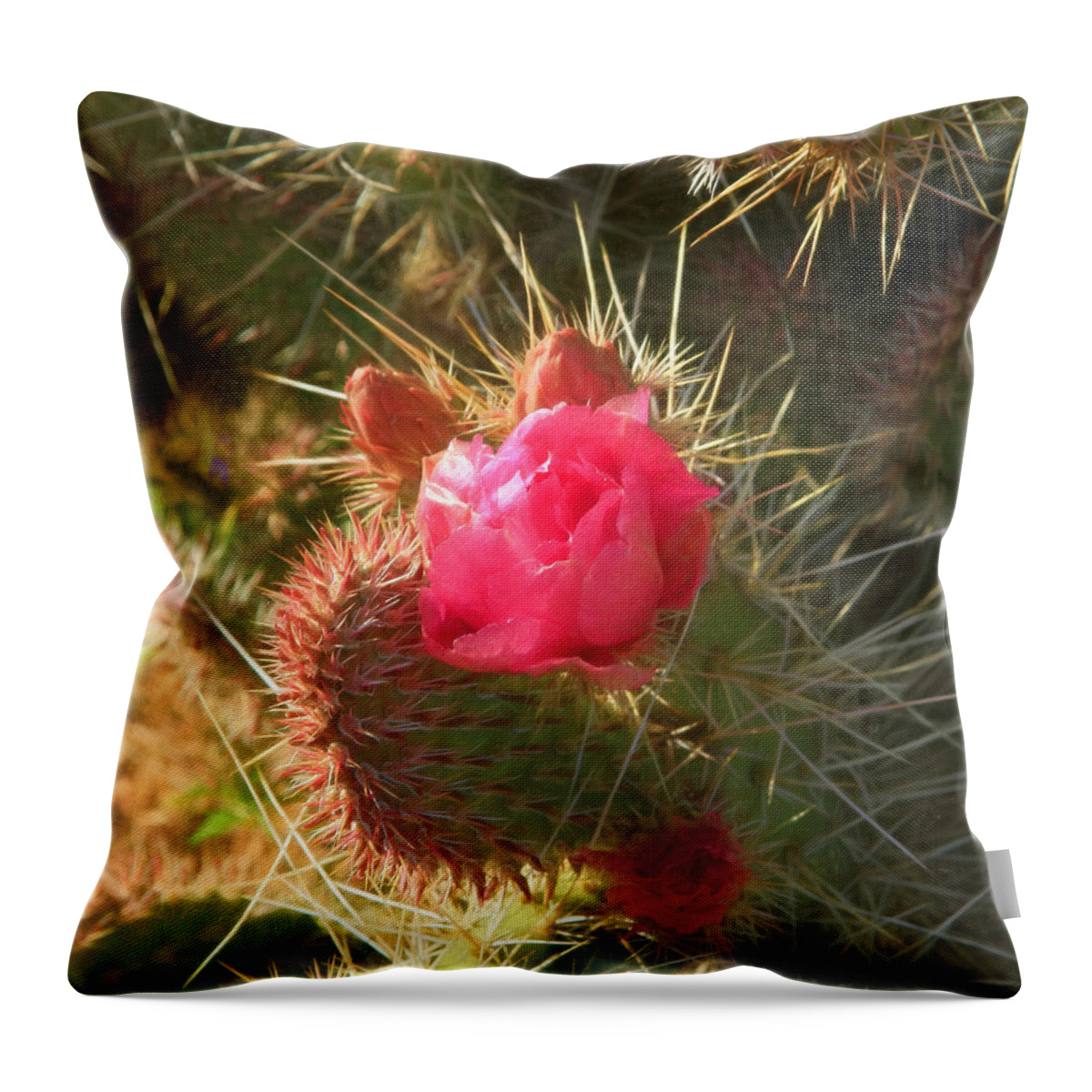 Pink Budding Prickly Pear Throw Pillow featuring the photograph Pink Budding Prickly Pear by Bonnie Follett