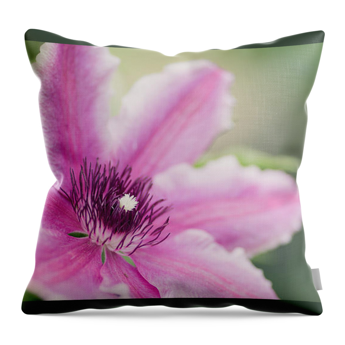 Flowers Throw Pillow featuring the photograph Pink Clematis by Rebecca Cozart