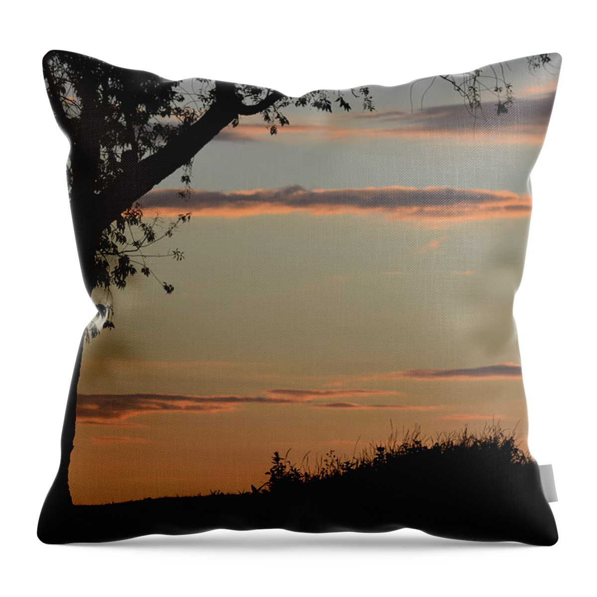 Sunset Throw Pillow featuring the photograph Pink Clouds and Tree by Tana Reiff