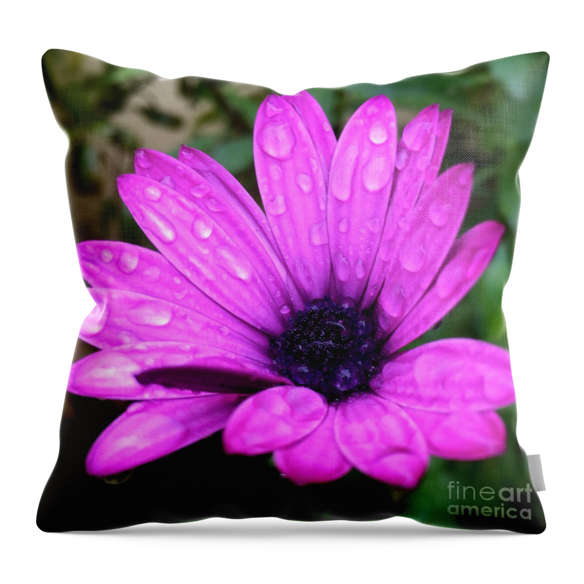 Nature Throw Pillow featuring the photograph Pink daisy by Wonju Hulse
