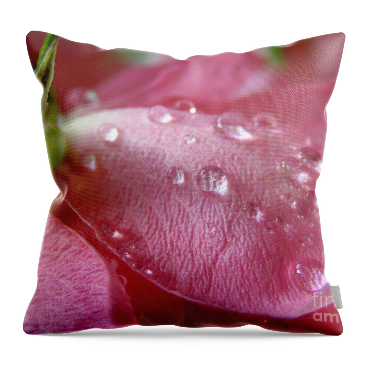 Pink Drops Throw Pillow featuring the photograph Pink Drops 5 by Kim Tran