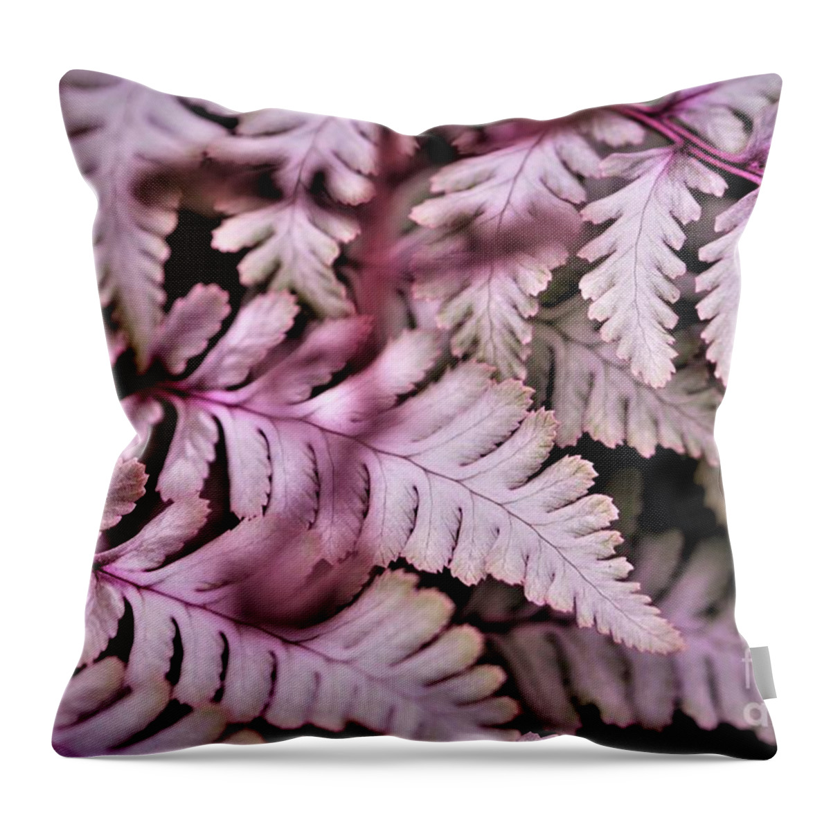 Pink Throw Pillow featuring the photograph Pink Fern by Tracey Lee Cassin