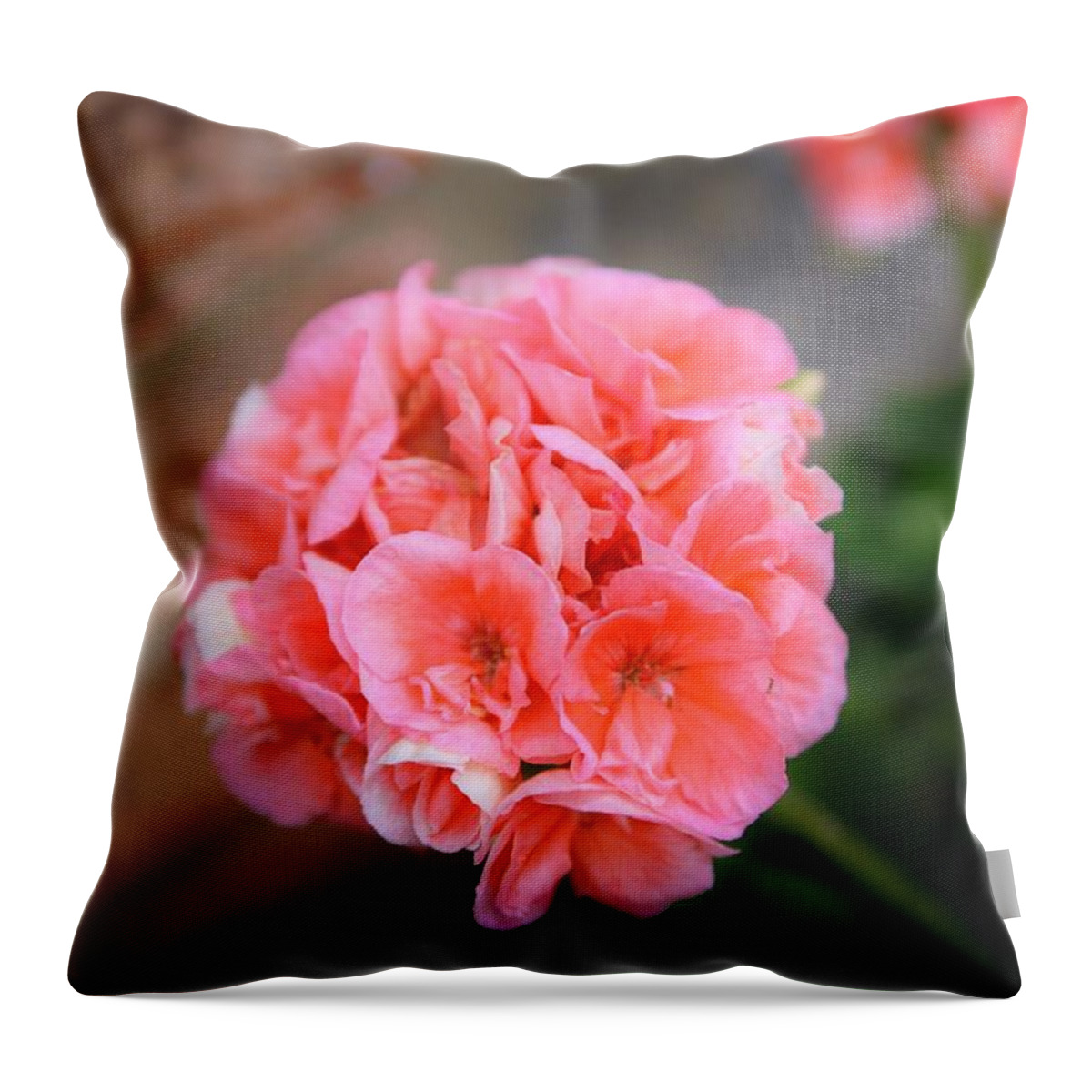 Begonia Throw Pillow featuring the photograph Pink Fireball by Tom Horsch Photography