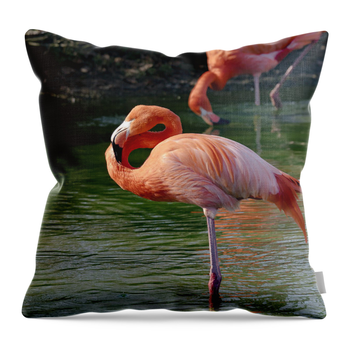 Pink Flamingo Throw Pillow featuring the photograph Pink Flamingo by Scott Carruthers