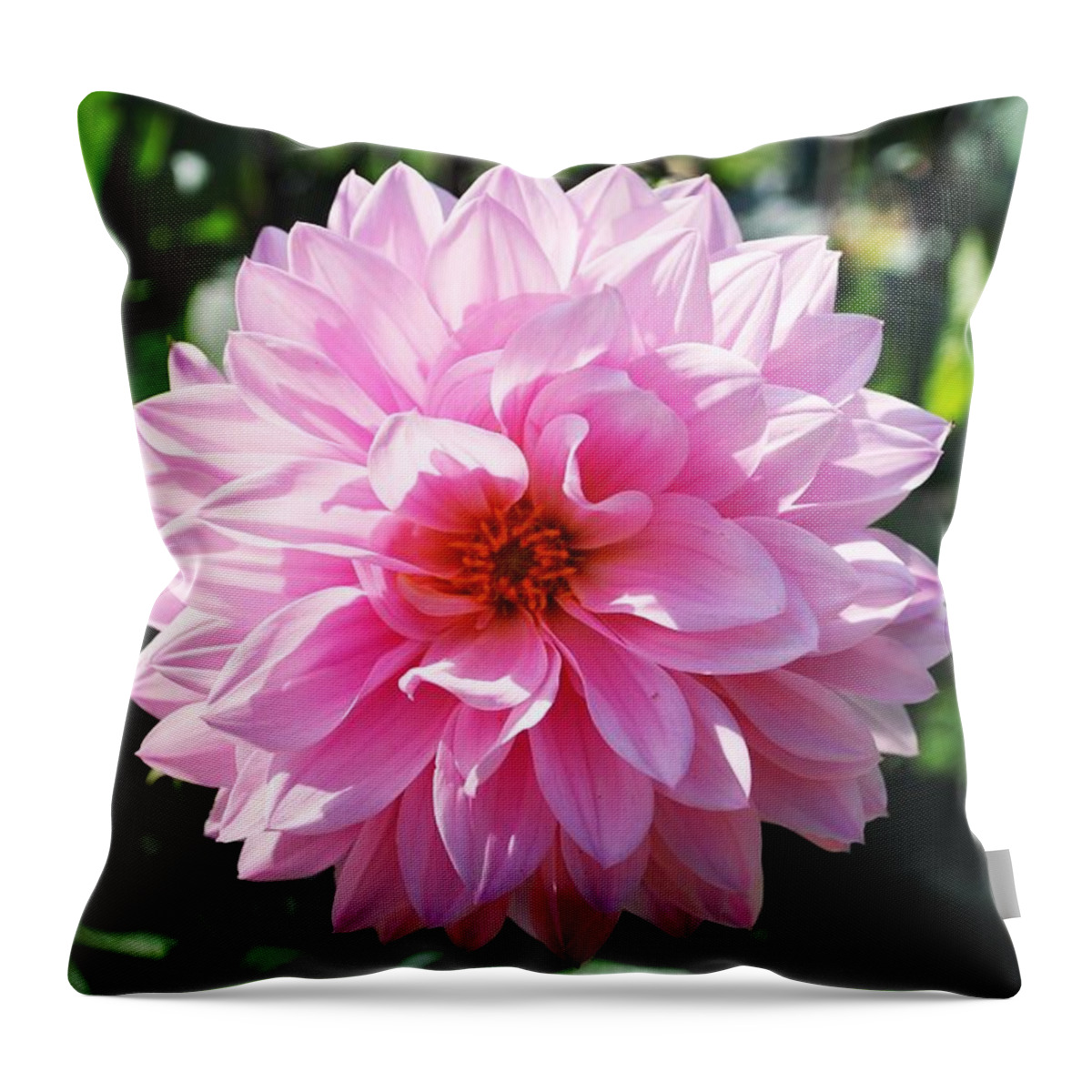 Pink Throw Pillow featuring the photograph Pink Flower by Matt Quest
