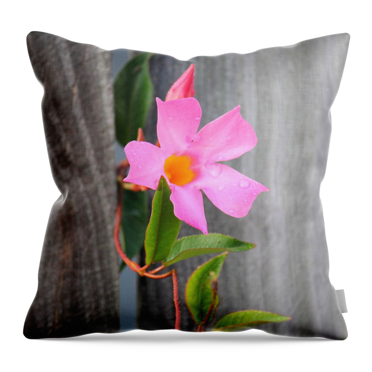 Flower Throw Pillow featuring the photograph Pink Flower by Sheri Simmons