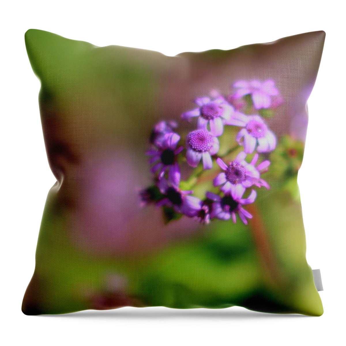 Pink Throw Pillow featuring the photograph Pink Flowers . 40D4800 by Wingsdomain Art and Photography