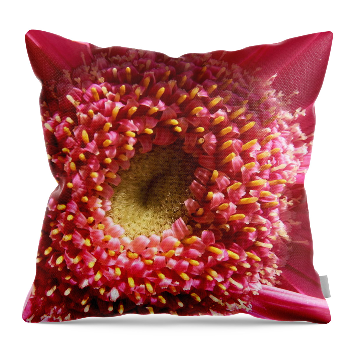 Pink Throw Pillow featuring the photograph Pink Gerbera Daisy by Amy Fose