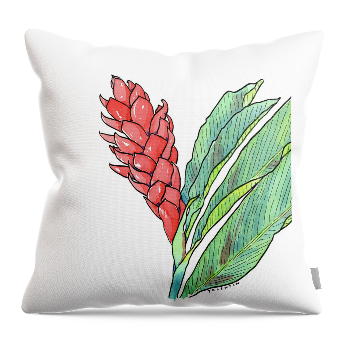 Ginger Throw Pillow featuring the painting Pink Ginger by Diane Thornton