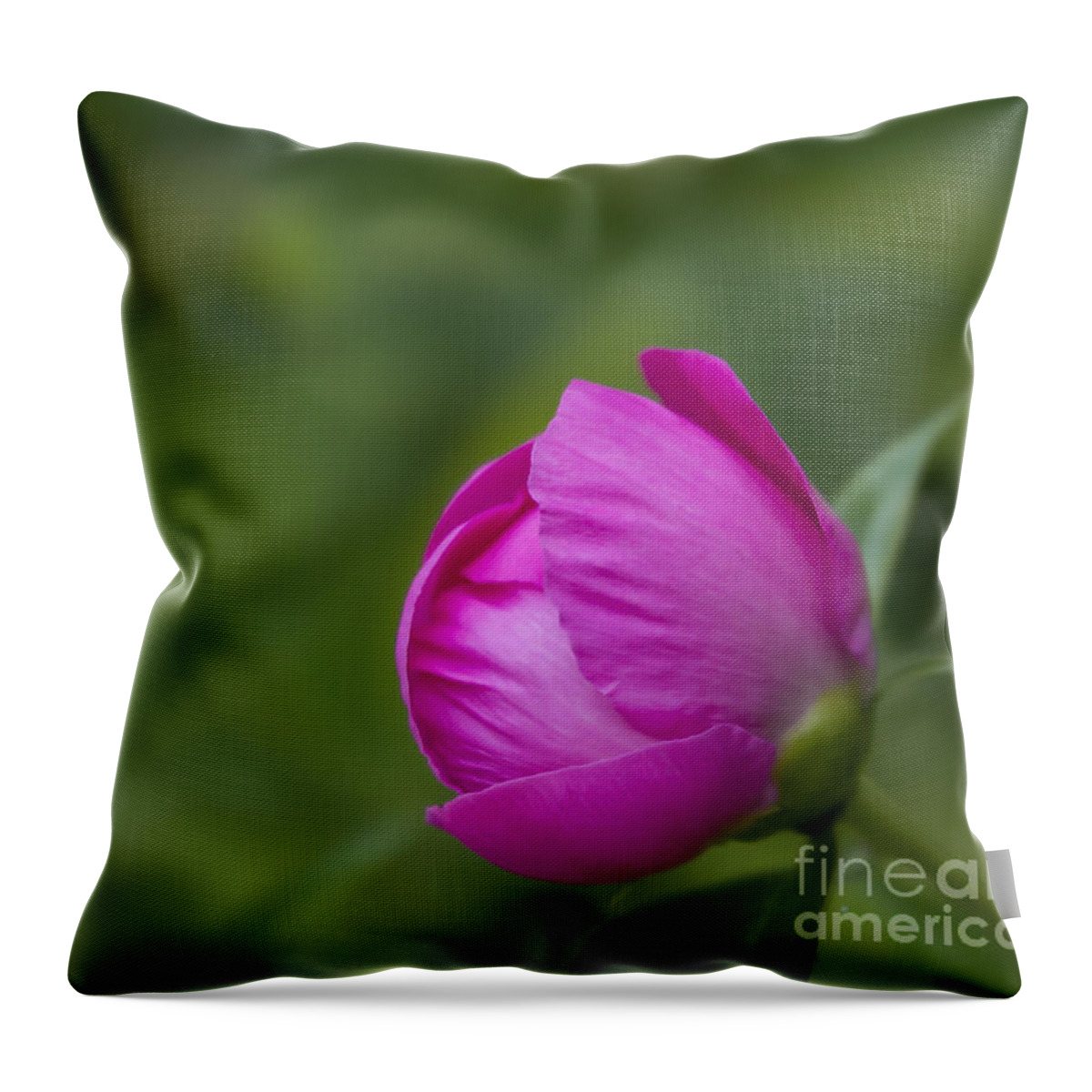 Bud Throw Pillow featuring the photograph Pink Globe by Andrea Silies