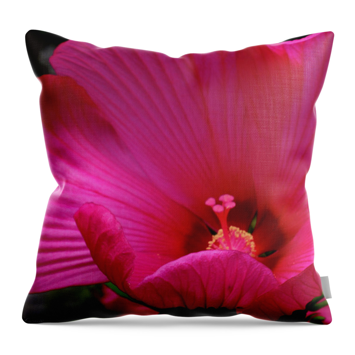 Floral Throw Pillow featuring the photograph Pink Hibiscus by Mikki Cucuzzo
