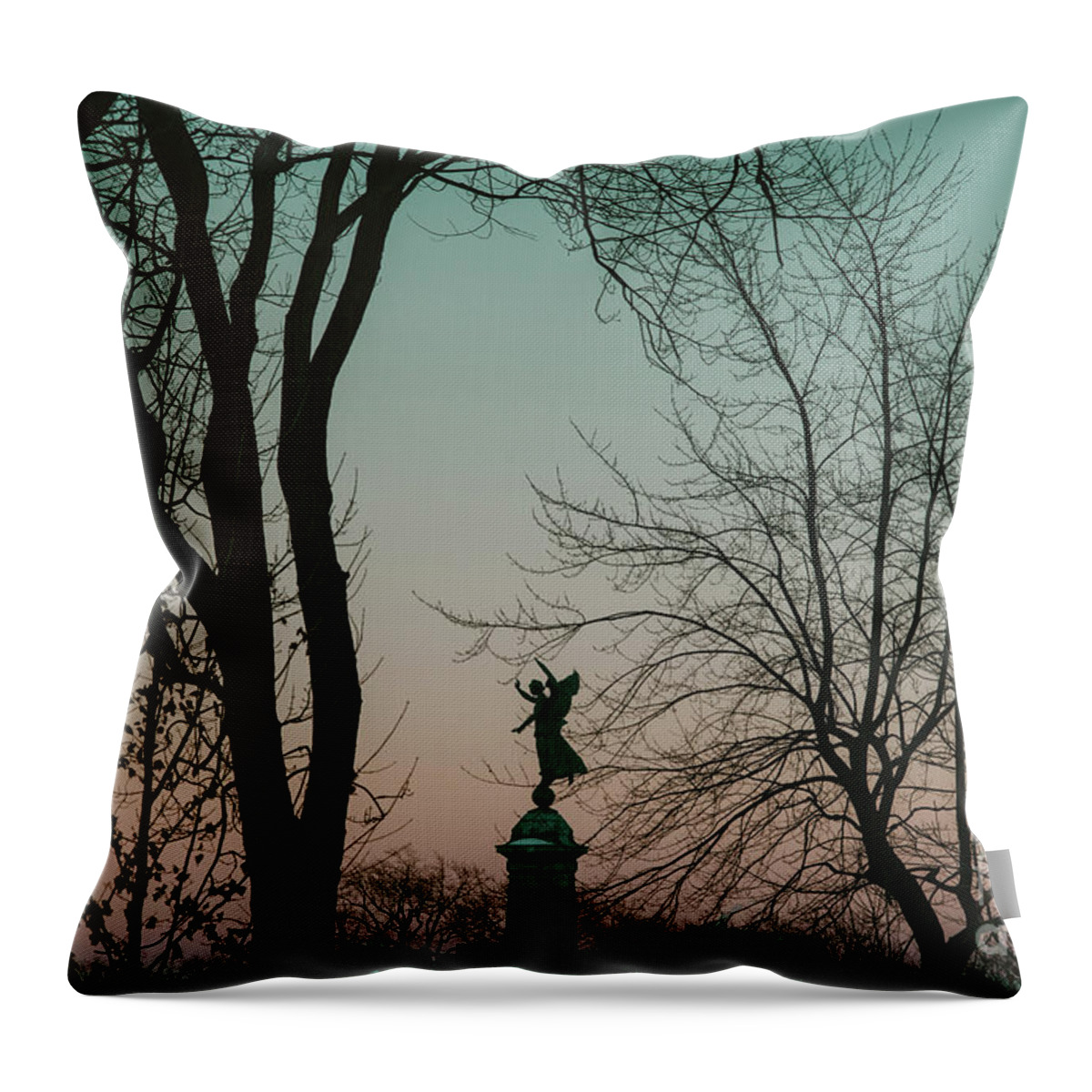 Pink Hour Throw Pillow featuring the photograph Pink Hour on Christmas Day by Valerie Rosen
