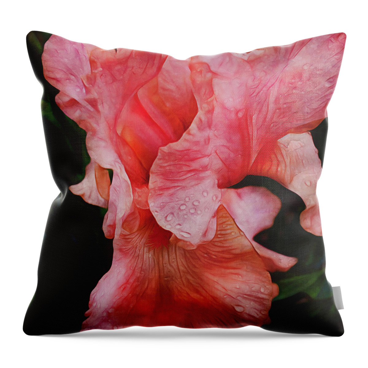 Pink Iris Throw Pillow featuring the photograph Pink Iris Glory by Anna Louise