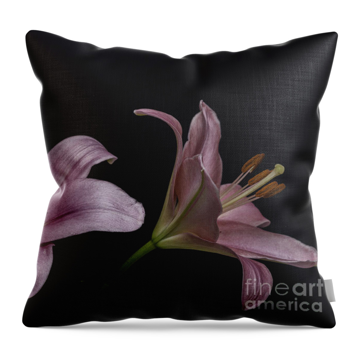 Pink Lilies Throw Pillow featuring the photograph Pink Lilies 1 by Steve Purnell