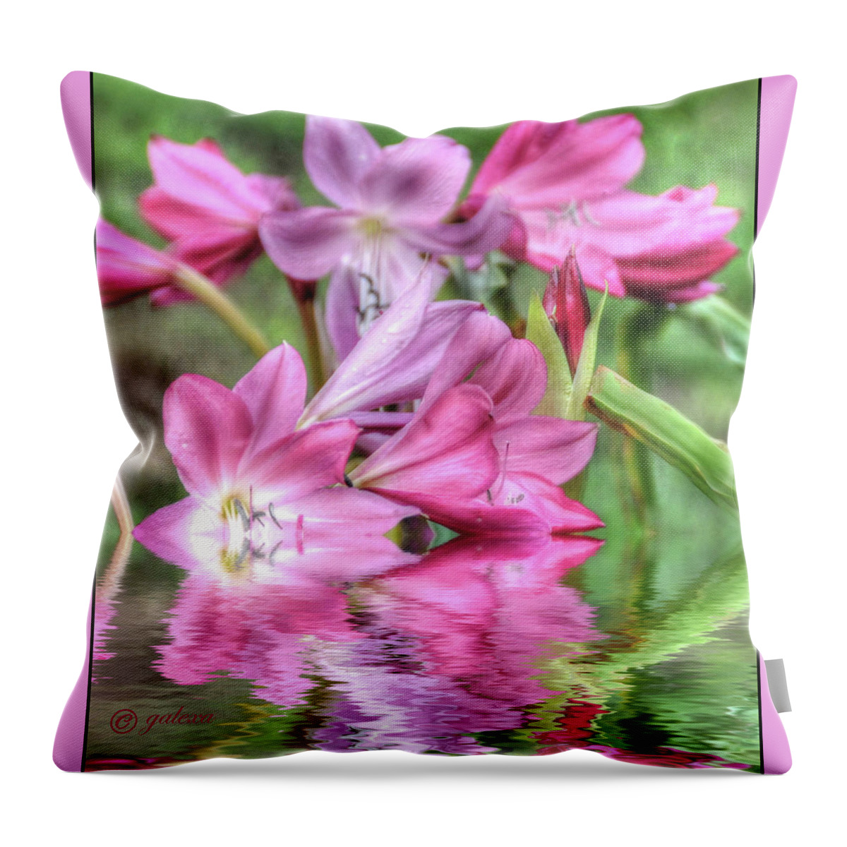 Flowers Throw Pillow featuring the photograph Pink Lily Flood by Geraldine Alexander