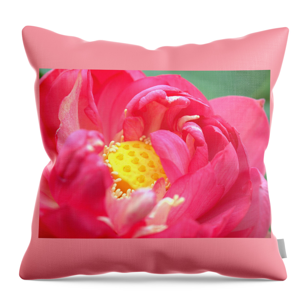Lotus Throw Pillow featuring the photograph Pink Lotus Flower by Yuka Kato
