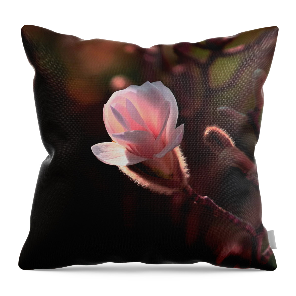 Magnolia Throw Pillow featuring the photograph Pink Magnolia by Jeff Townsend