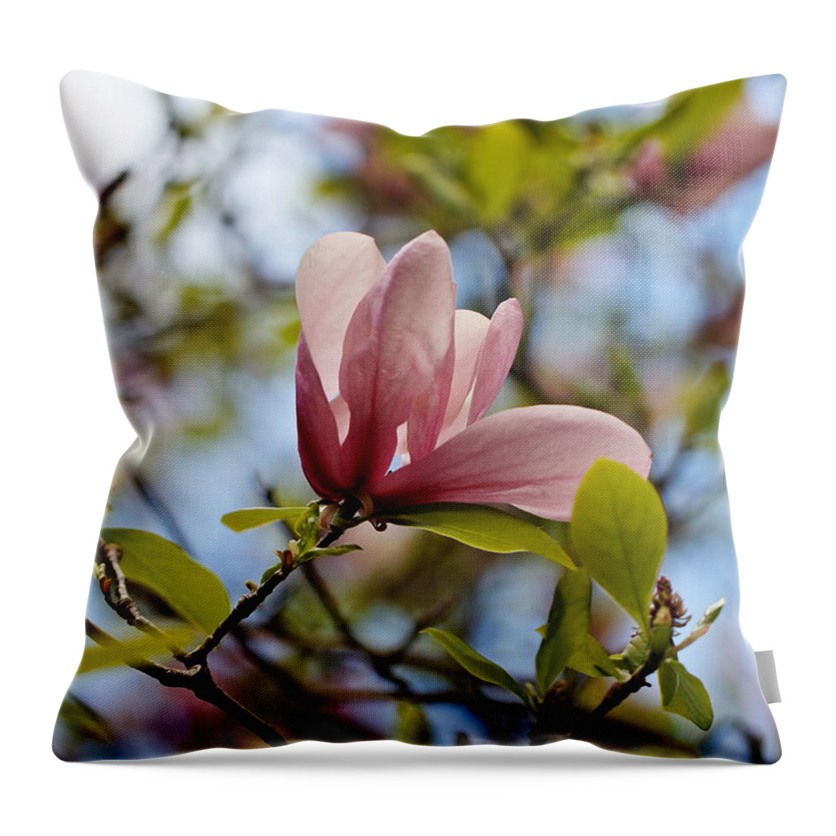 Pink Floral Throw Pillow featuring the photograph Pink Magnolia by Katherine White
