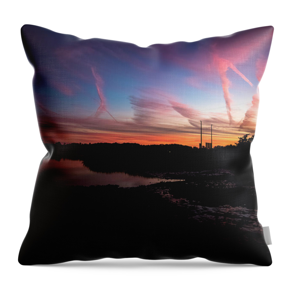 Pink Throw Pillow featuring the photograph Pink Matter by Mike Dunn