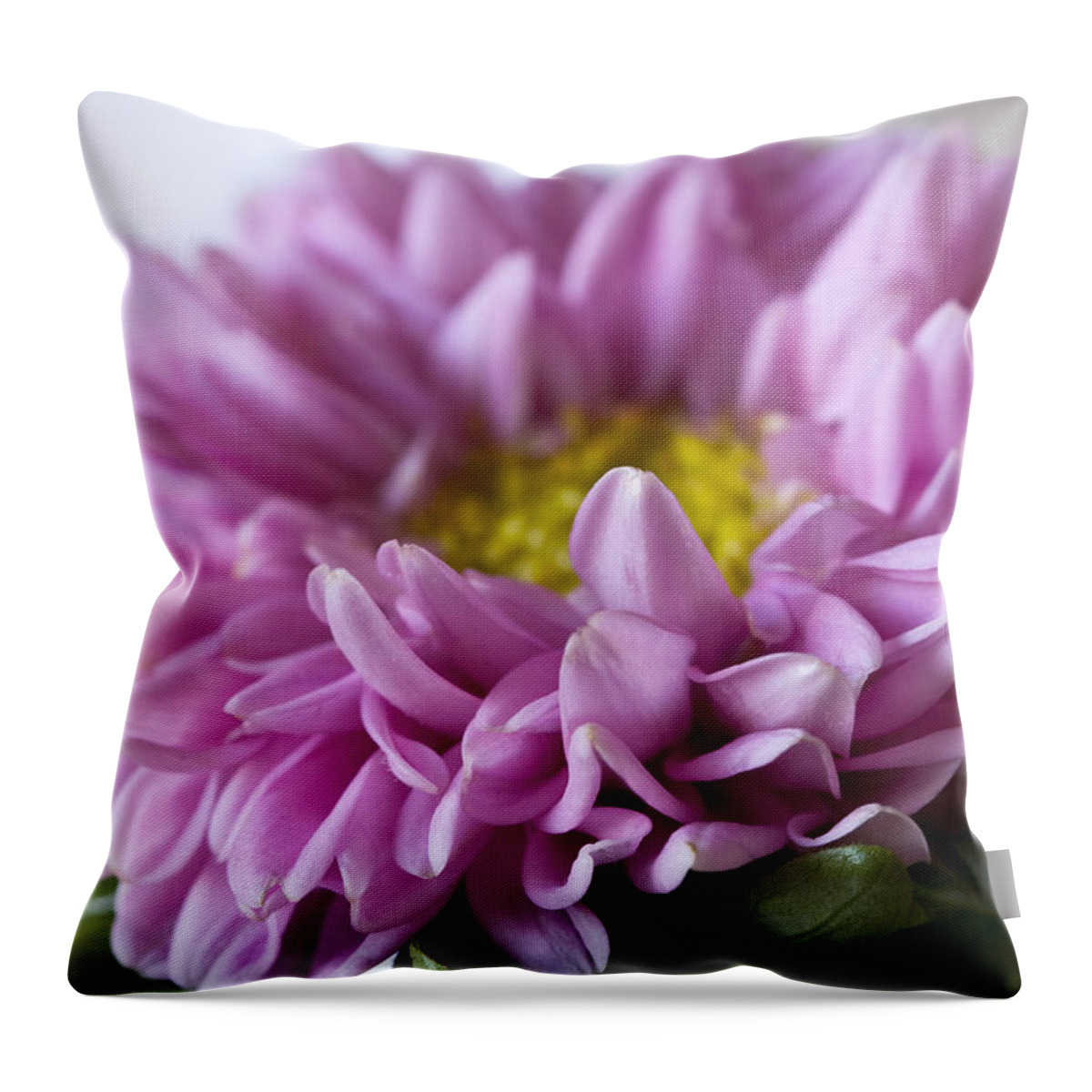 Pink Flowers Throw Pillow featuring the photograph Pink Mum by Cheryl Day