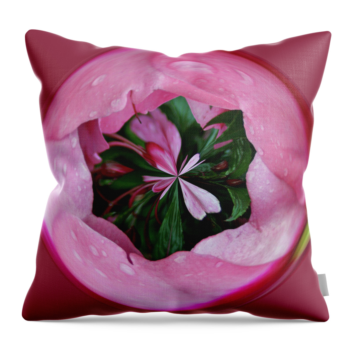 Pink Throw Pillow featuring the photograph Pink Orb by Bill Barber