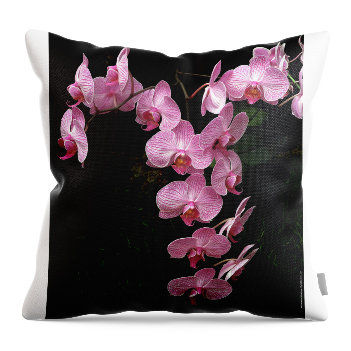Orchids Throw Pillow featuring the photograph Pink Orchids by Mark Ivins