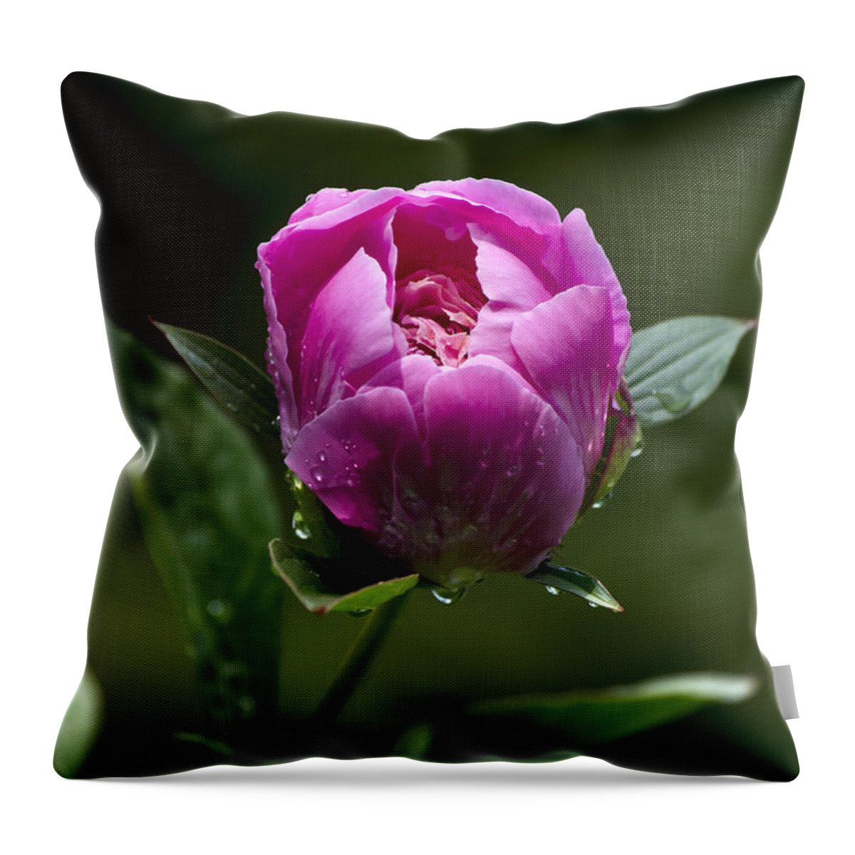 Flowers Throw Pillow featuring the photograph Pink Peony Flower by Christina Rollo